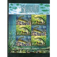 Беларусь 2011. Рыбы водоемов Беларуси. Малый лист
