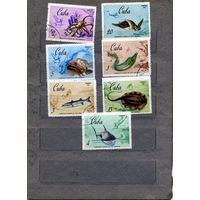 КУБА, 1967, ИХТИОФАУНА, Чемпион по подводной охоте, Серия 7м гашен