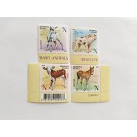 Беларусь  2024 4 м  дом.животные