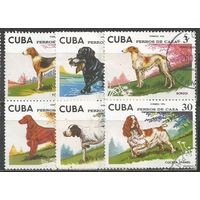 Куба. Собаки. 1976г. Mi#2109-14. Серия.