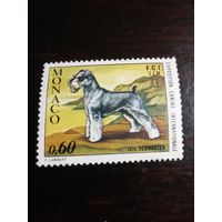 Монако 1973 Собаки