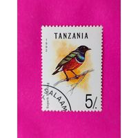 Танзания. Птицы. ( 1 марка ) 1992 года. 2-14.