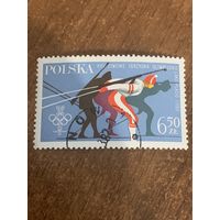 Польша 1980. Зимние олимпийские игры Лэйк Плэйсид. Биатлон. Марка из серии