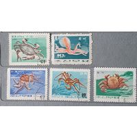 КНДР морские обитатели 5шт
