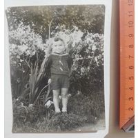 Фото в коллекцию