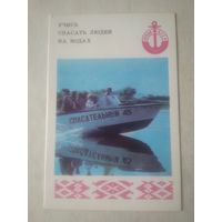 Карманный календарик. ОСВОД.1981 год