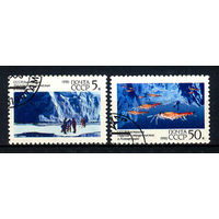 1990 СССР. Сотрудничество в Антарктике