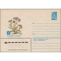 Художественный маркированный конверт СССР N 14971 (22.05.1981) Лекарственные растения. Тысячелистник обыкновенный