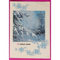 С новым годом! Чистая. 1970 года. Фото Костенко. 2463.