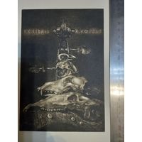 Гравюра Черепа K.Kovzus