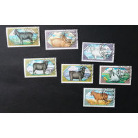 Монголия. 1988 г. Фауна. Козлы (Goats), полная серия из 7 марок #0142-Ф1P29
