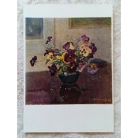 Соколов. Анютины глазки