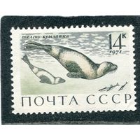 СССР 1971. Морская фауна. Тюлени