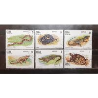 Куба. 1982 год. Фауна. Пресмыкающиеся (1068)