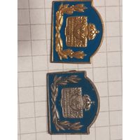 Значок военно спортивное общество Швеция