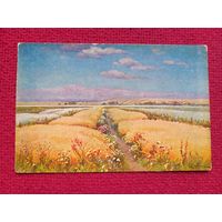 Поле. Вржещ. Царская открытка. Чистая. Кр1.