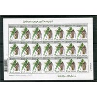 Беларусь 2025. Стандарт. Фауна. Кузнечик. Номинал 2 руб. Заказ 366ц-2025. Лист