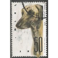 Израиль. Собака домашняя. 1987г. Mi#1065.