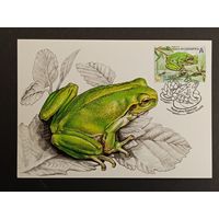 Картмаксимум Беларусь Белпочта 2015