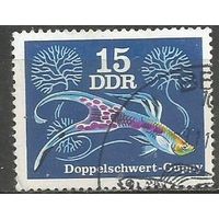 ГДР. Аквариумные рыбки. Гуппи. 1976г. Mi#2177.
