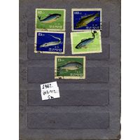 КНДР, 1962,  РЫБЫ,     серия 5м  гашен