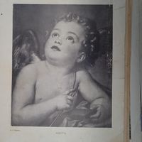 АМУРЪ. Гравюра энциклопедическая 19-20век. 27х20см. СПБ.   РАСПРОДАЖА КОЛЛЕКЦИИ.