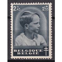 11.Bg. Бельгия. Кронпринц Бодуэн. День почтовой марки. 1937 г. Одиночный выпуск. Mi.#442.