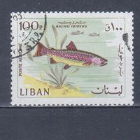 [759] Ливан 1968. Фауна.Рыба.100 п. Концовка серии. Гашеная марка.