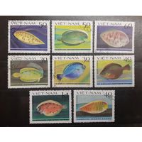 Вьетнам. 1982 год. Фауна. Рыбы. Камбала (8)