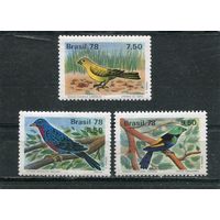 Бразилия. Фауна. Птицы