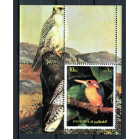 Фуджейра - 1972г. - Птицы - полная серия, MNH [Mi bl. 138 А] - 1 блок