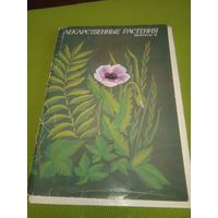 Лекарственные растения. 32 открытки. 5 выпуск. М., 1987.