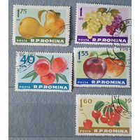 Румыния фрукты 5шт
