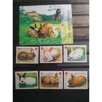 Сомали 1999 г. Кролики.