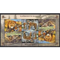 Таджикистан 2016. Фауна Тигры малый лист (435)