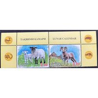 Таджикистан 2015  . Фауна. Год барана . Овцы