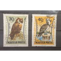 Венгрия. 1962 год. Фауна. Птицы