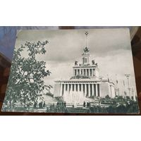 1955 год Москва ВСХВ Главный павильон