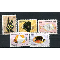 Бенин - 1996 - Рыбки - (пятно на клее у ном. 200) - [Mi. 897-901] - полная серия - 5 марок. MNH.  (Лот 39JN)-T4P3