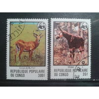 Конго (Браззавиль), 1978. Охрана природы WWF. Mi-3,2 евро гаш.