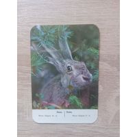 Календарик 1988