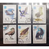 СССР. 1982 год. Фауна. Птицы. Орнитологический конгресс (425)