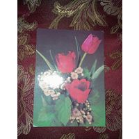 Открытка СССР, 1990г., фото И. Дергилева