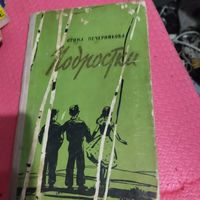 Ирина Печерникова.  Подростки.Повесть.
