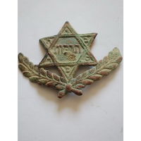 Кокарда на иврите гимназии Тарбут (культура) в том числе на территории межвоенной Польши