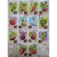 Беларусь 2020 КМ стандарт.