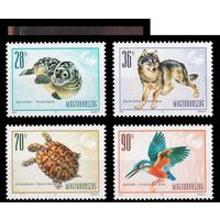 2001 Венгрия 4669-4672 Европейская фауна. Тюлень. Волк. Черепаха. Птицы. Зимородок **