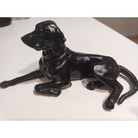 Коллекция Касли-Куса. Собака поинтер Касли 1986