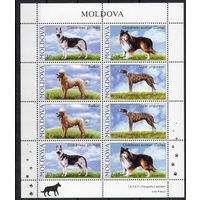 Молдова 2006. Фауна. Собаки малый лист (274)