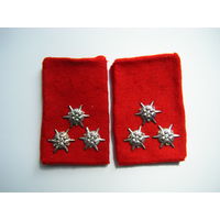 Погона эдельвейс.